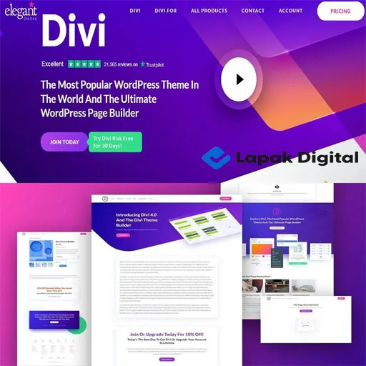 Divi Theme & Visual Page Builder